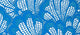 Primadonna Twist Mocuto Thong In Blu China